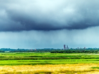 Ribe